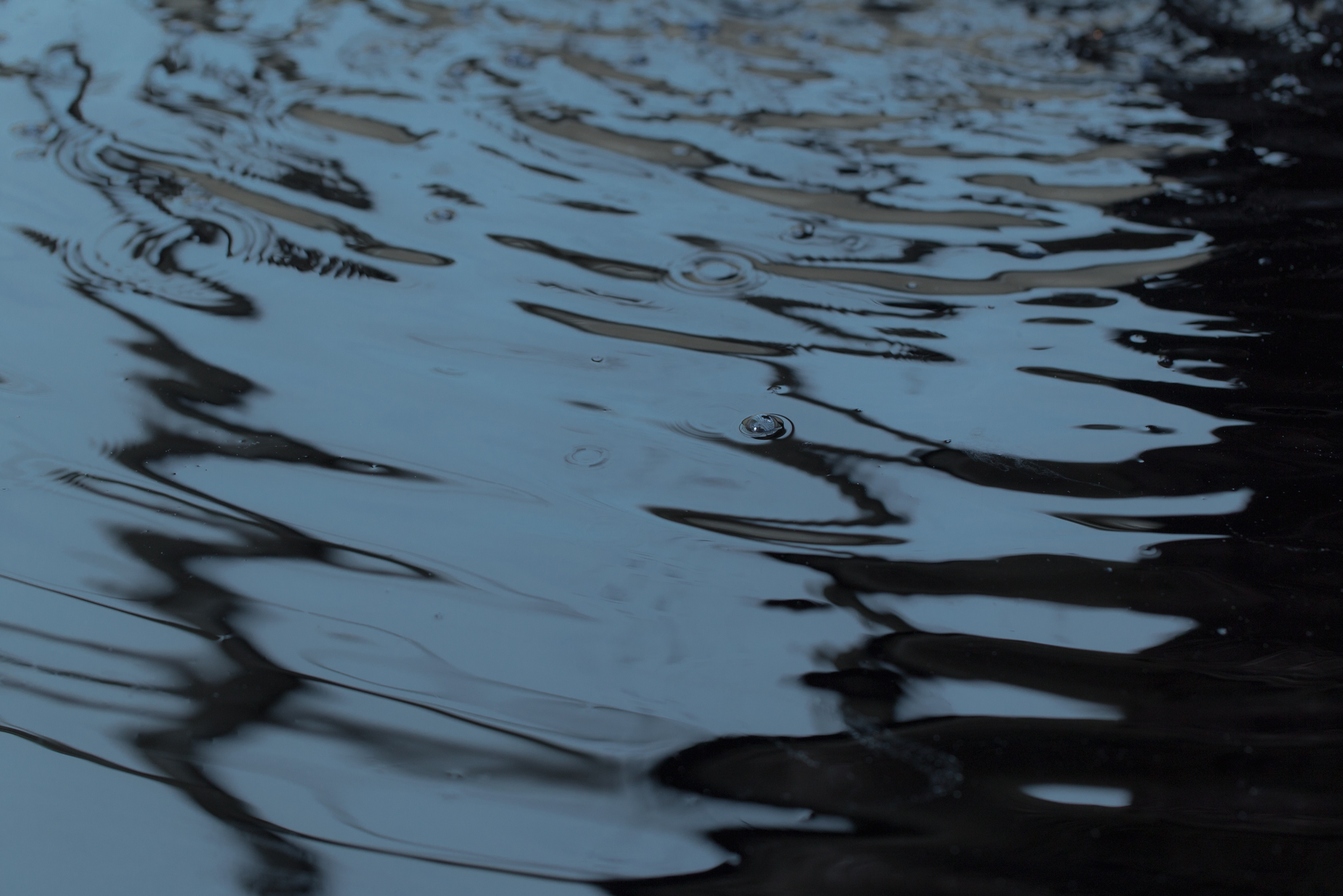 JEANNE RENARD – Fotografin in Mainz