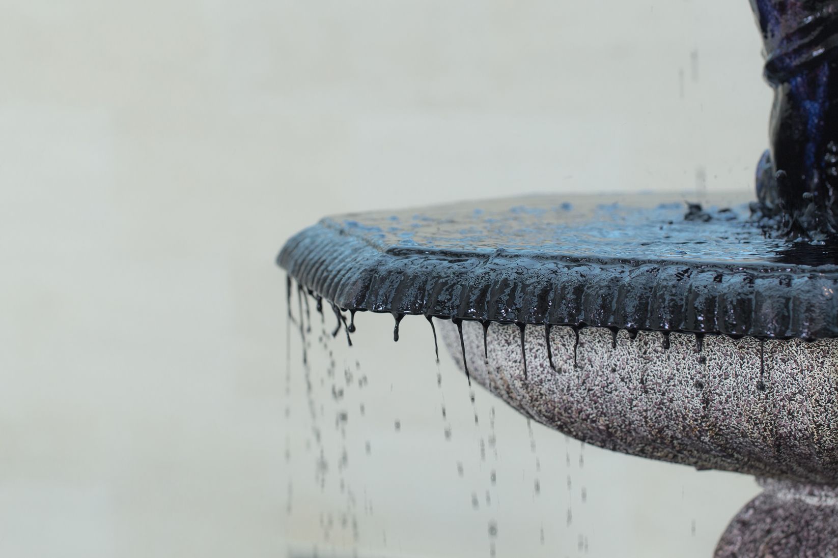 JEANNE RENARD – Fotografin in Mainz