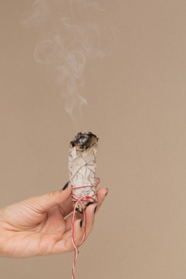 JEANNE RENARD – Fotografin in Mainz