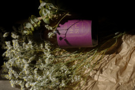 JEANNE RENARD – Fotografin in Mainz